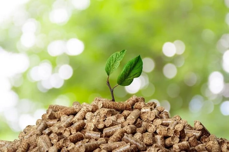 Biomasa: Energía desde Residuos