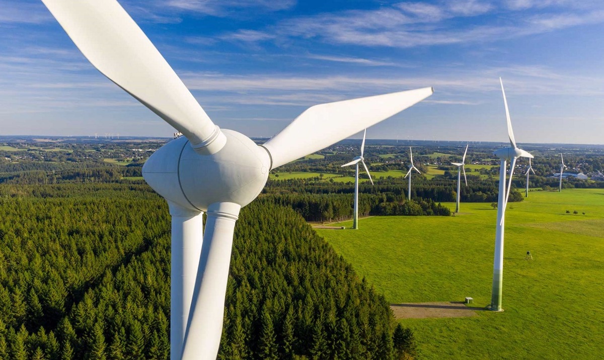 Aerogeneradores: La Fuerza del Viento